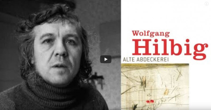 blaubart-ginster