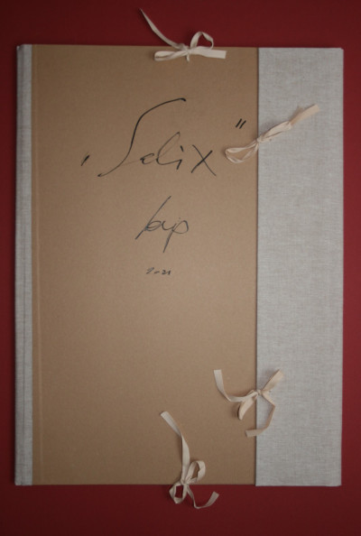 "Salix" — Internationales WolfgangHilbigJahr 2021