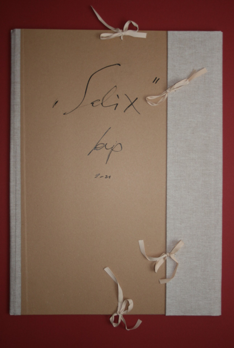 cover-mappe-salix